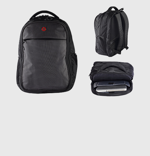 The Laptop Backpack